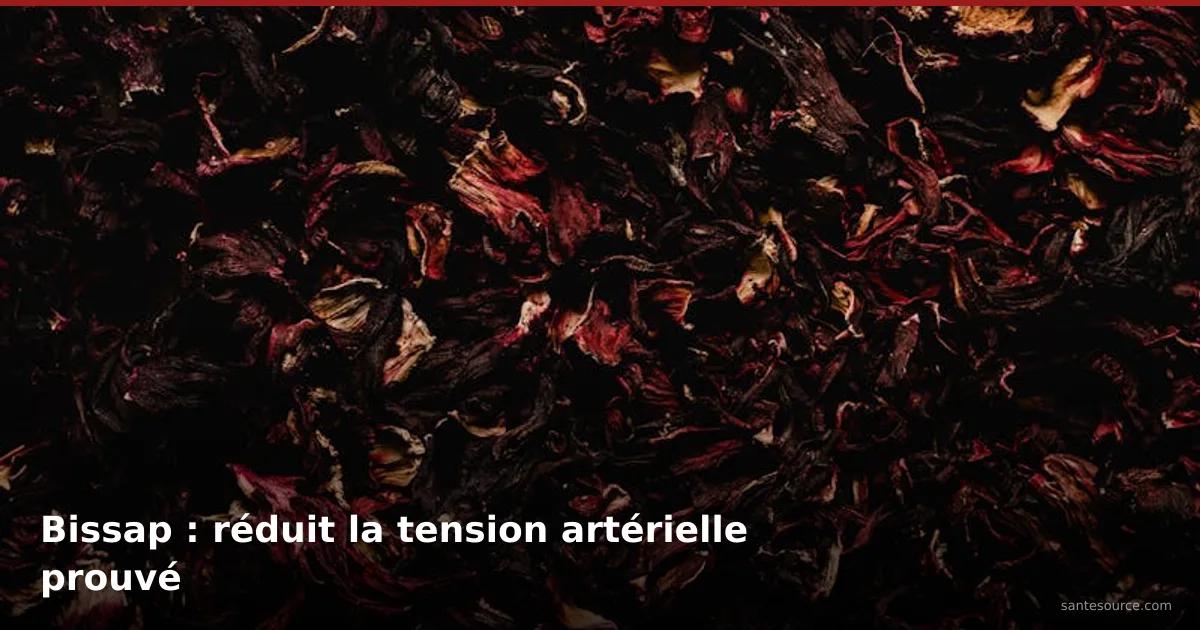Pétales séchés de fleurs d'hibiscus rouge pour préparer le bissap, remède naturel contre l'hypertension