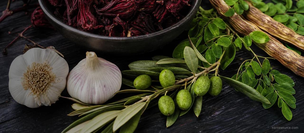 Hibiscus séché, ail et feuilles de moringa pour réduire la tension artérielle naturellement