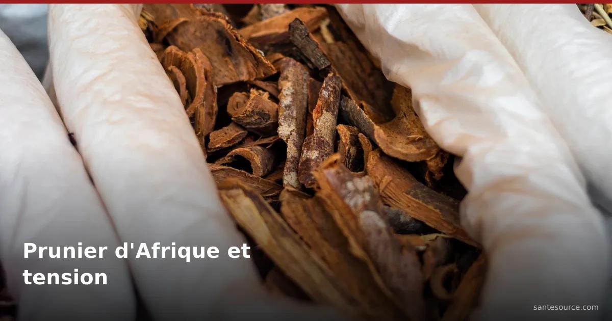 Écorce séchée de prunier d'Afrique en vrac, remède naturel étudié pour la tension artérielle