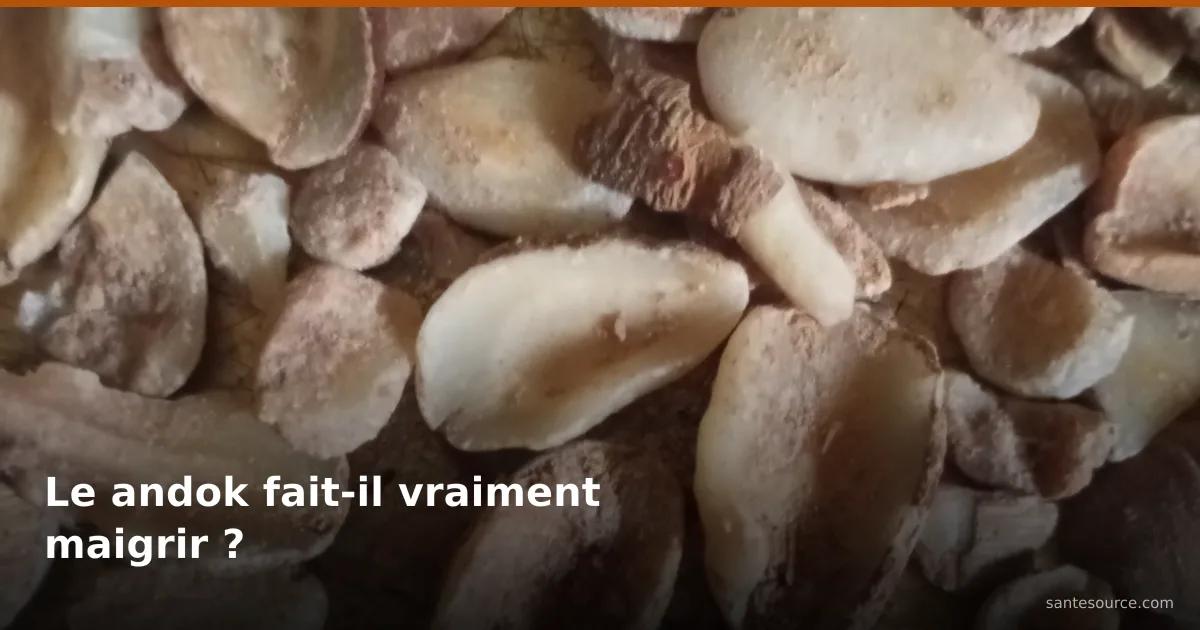 Graines de dika séchées, la mangue africaine (andok) à la base de la soupe d'ogbono étudiée pour la perte de poids
