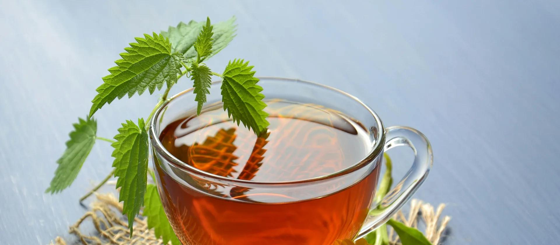 Tasse de tisane au calendula avec carnet, photographie moderne de bien-être naturel.