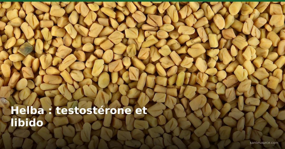 Graines dorées de helba (fenugrec), plante de la vitalité masculine et de la testostérone au Maroc