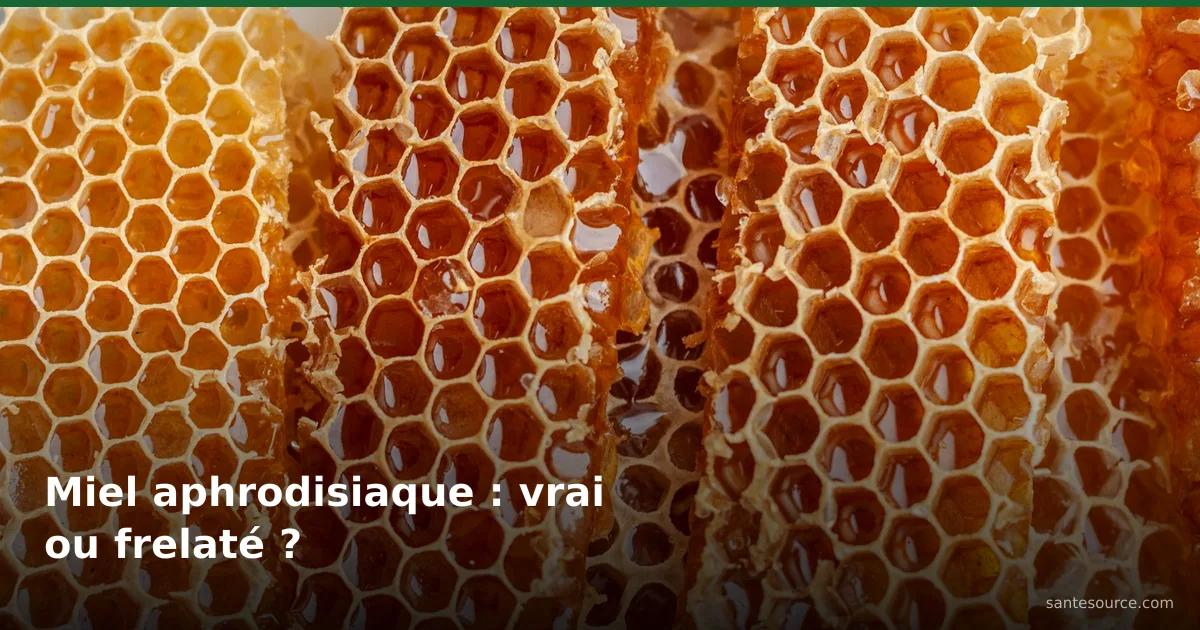 Rayons de miel doré en gros plan, illustrant un vrai miel naturel face aux miels aphrodisiaques frelatés