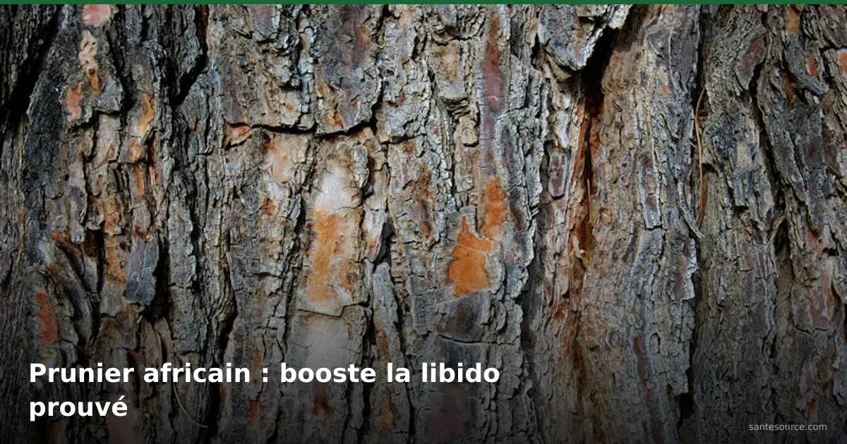 Écorce rugueuse de prunier africain pygeum, plante médicinale africaine pour la libido masculine
