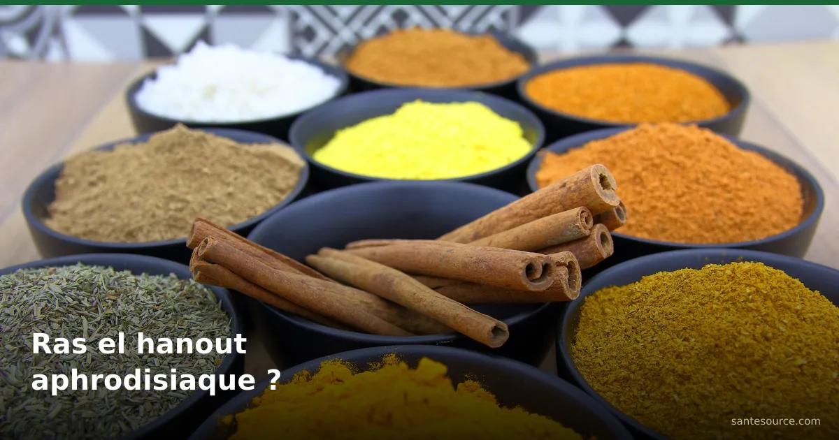 Bols d'épices marocaines variées et bâtons de cannelle, ingrédients du ras el hanout étudié pour la vitalité masculine