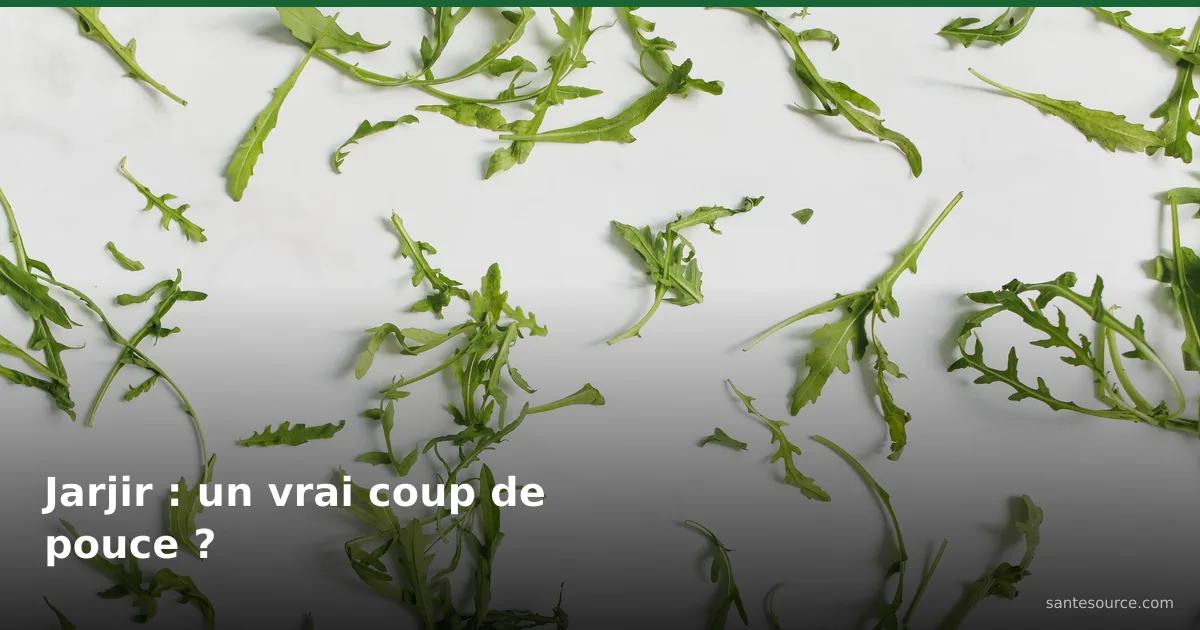 Feuilles de roquette (jarjir) fraîches sur surface claire, plante riche en nitrates pour la vitalité de l'homme