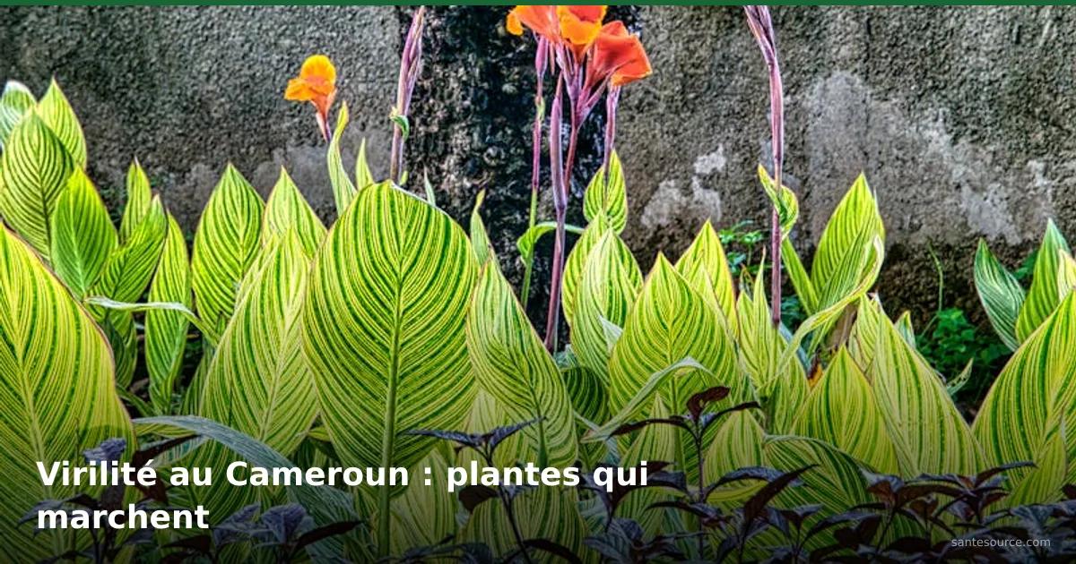 Plantes tropicales luxuriantes aux fleurs orangées du Cameroun, guide de la virilité naturelle masculine