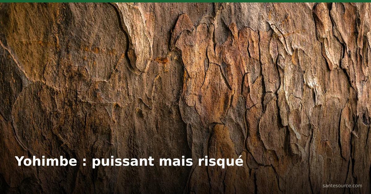 Écorce brune de l'arbre yohimbe d'Afrique centrale, source de yohimbine pour la libido masculine